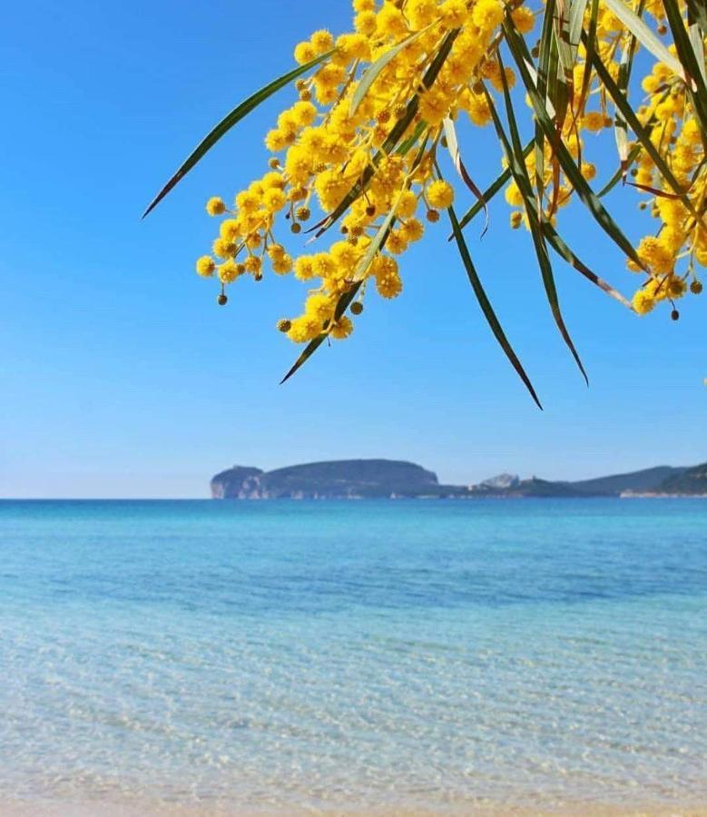 Casa Vacanze Calik Alghero Fertilia Exterior foto